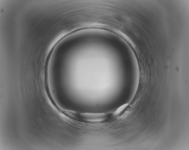 X0000080111007200612081222