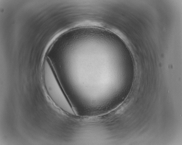 X0000080111008200612081222