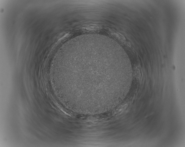 X0000080111009200612081221