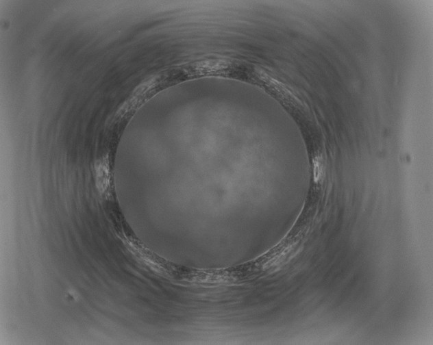 X0000080111011200612081221