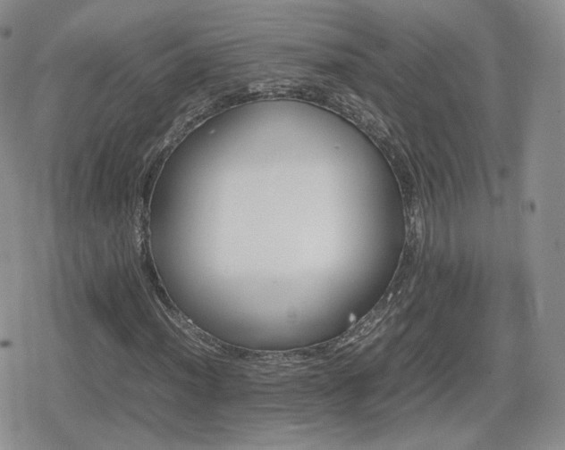 X0000080111012200612081221