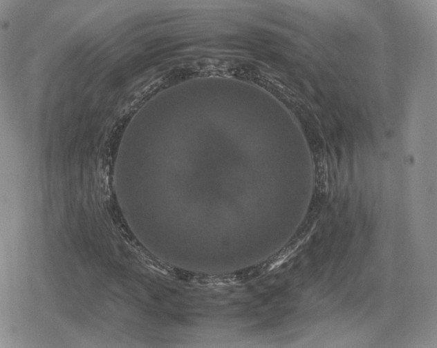 X0000080111013200612081221