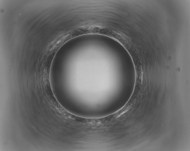 X0000080111014200612081221
