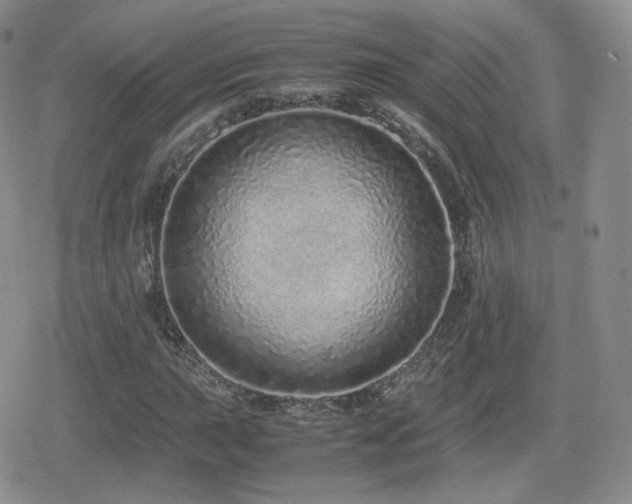 X0000080111015200612081221