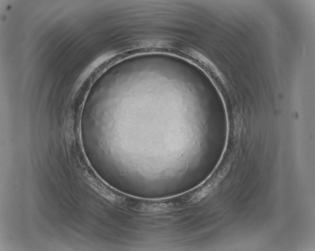 X0000080111019200612081222