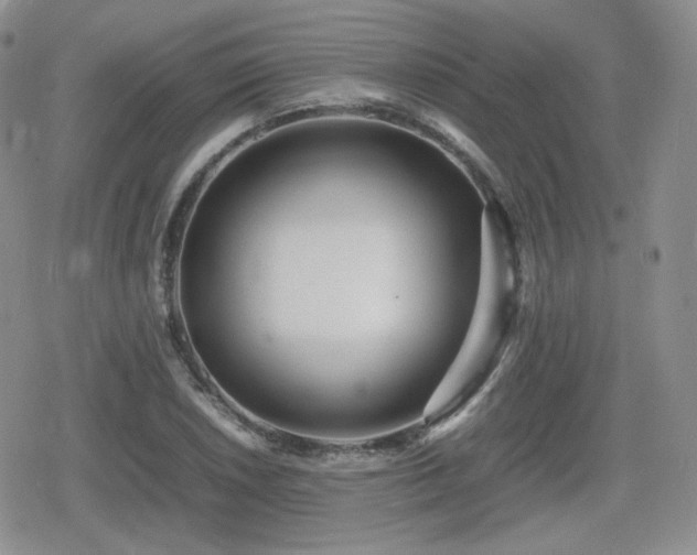 X0000080111026200612081222