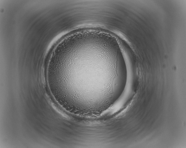 X0000080111030200612081222