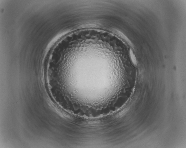 X0000080111035200612081222