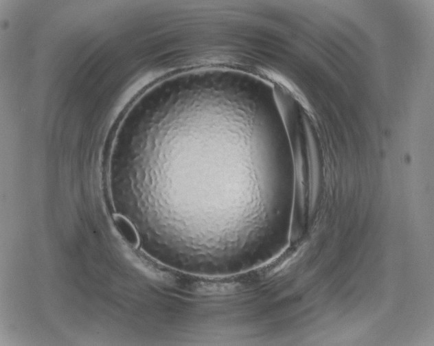 X0000080111039200612081222