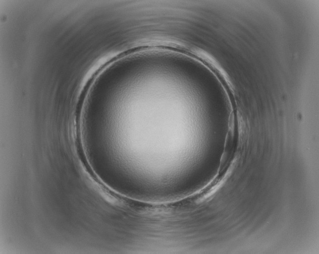 X0000080111040200612081222