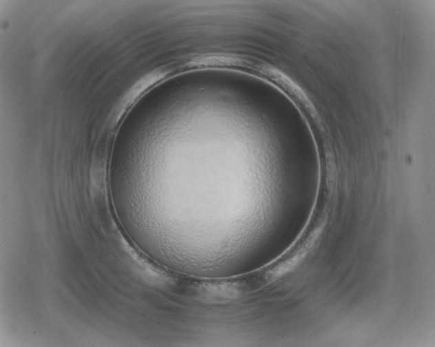 X0000080111041200612081222
