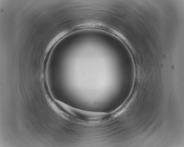 X0000080111042200612081222