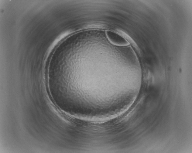 X0000080111043200612081222
