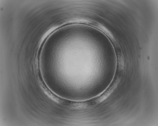 X0000080111044200612081222