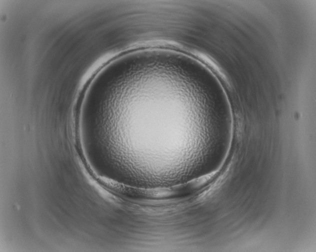 X0000080111046200612081222