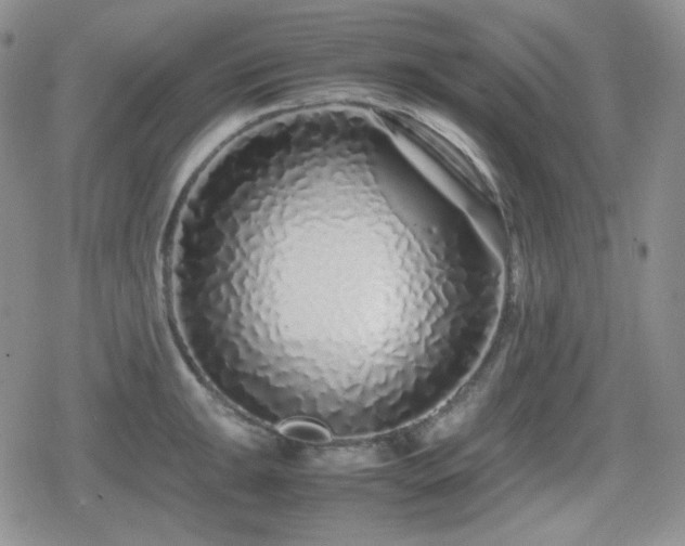 X0000080111047200612081222