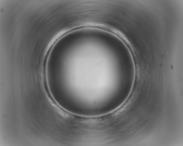 X0000080111048200612081222