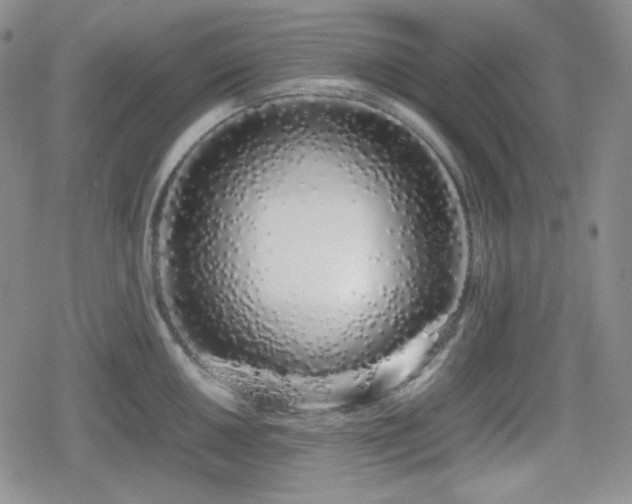 X0000080111050200612081222