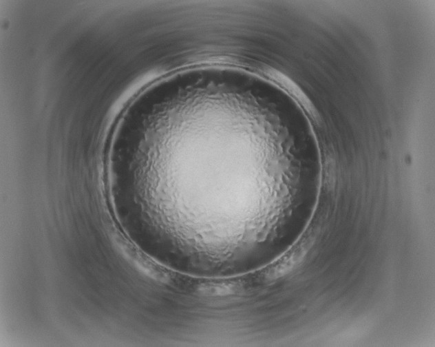 X0000080111051200612081222