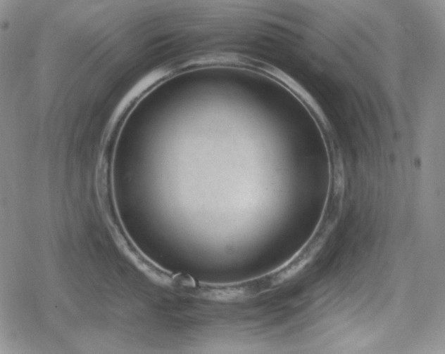 X0000080111053200612081222