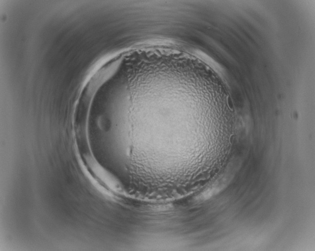 X0000080111055200612081222