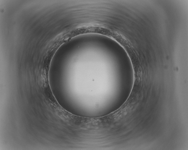X0000080111062200612081221