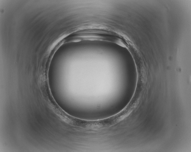 X0000080111073200612081221