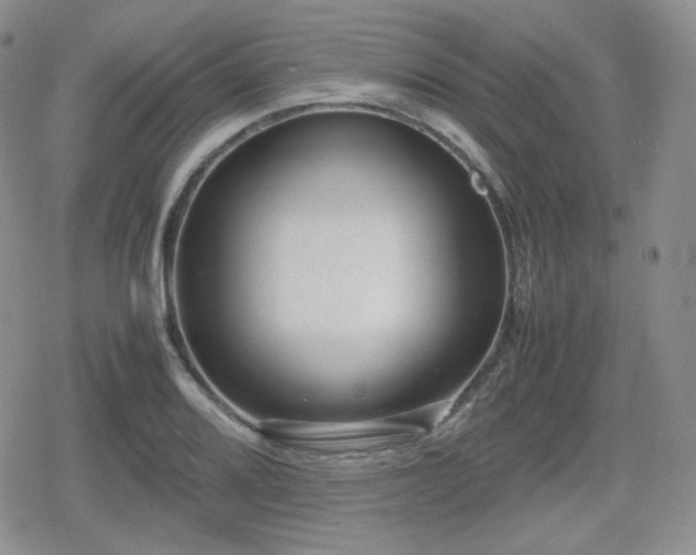 X0000080111080200612081221