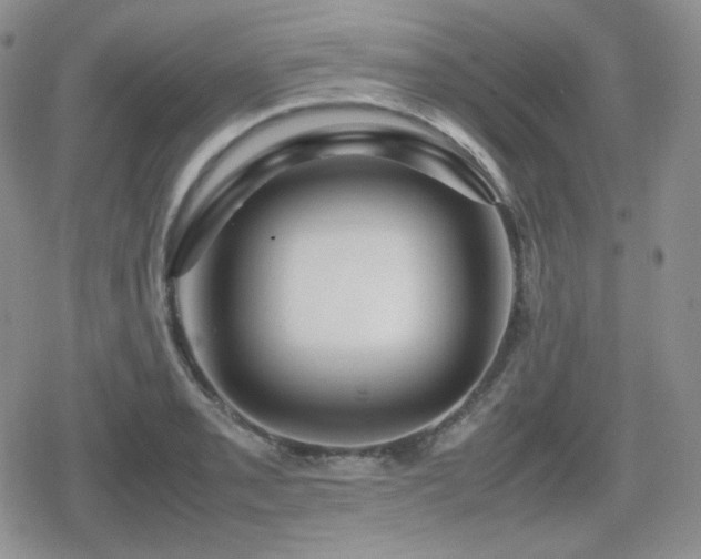 X0000080111085200612081221