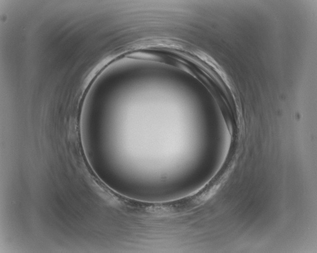 X0000080111089200612081221