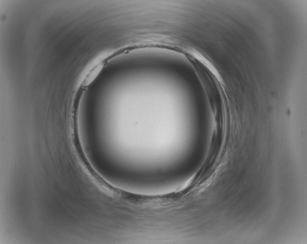 X0000080111093200612081221