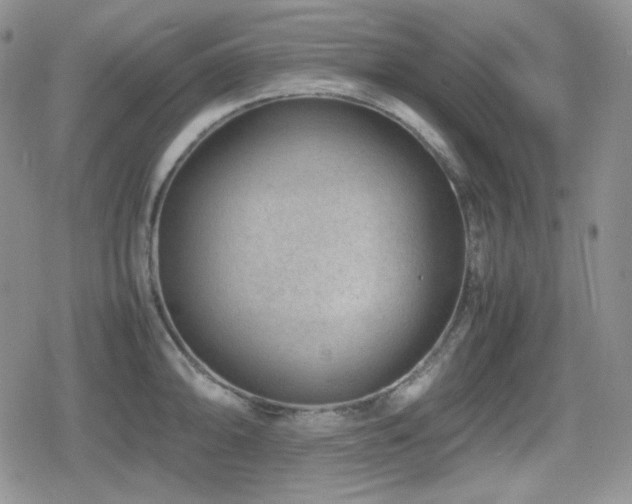 X0000080111094200612081221