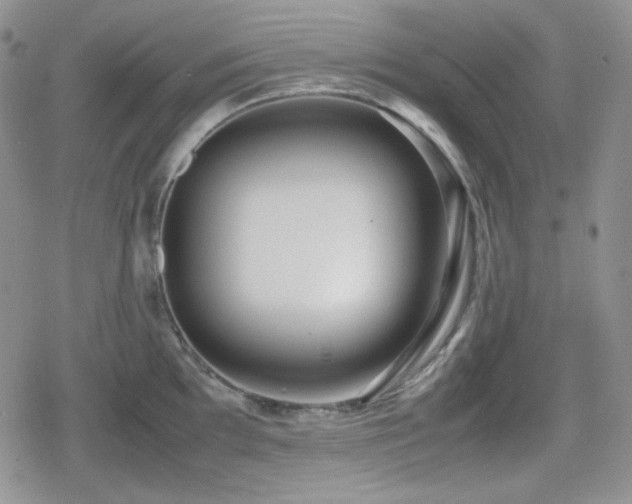 X0000080111097200612081221