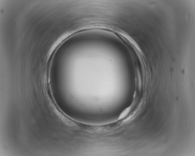 X0000080111101200612081221