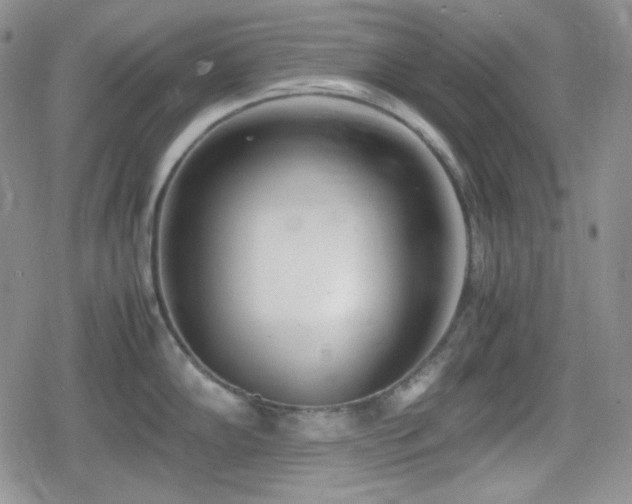 X0000080111102200612081221