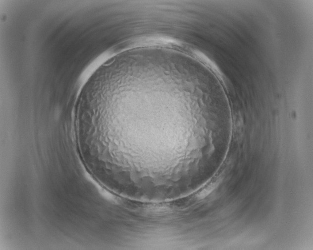X0000080111103200612081221