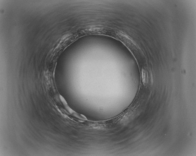 X0000080111107200612081220