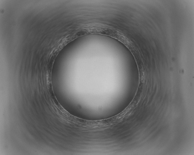 X0000080111108200612081220