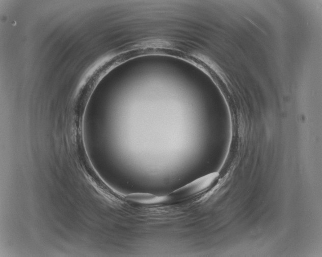 X0000080111115200612081220