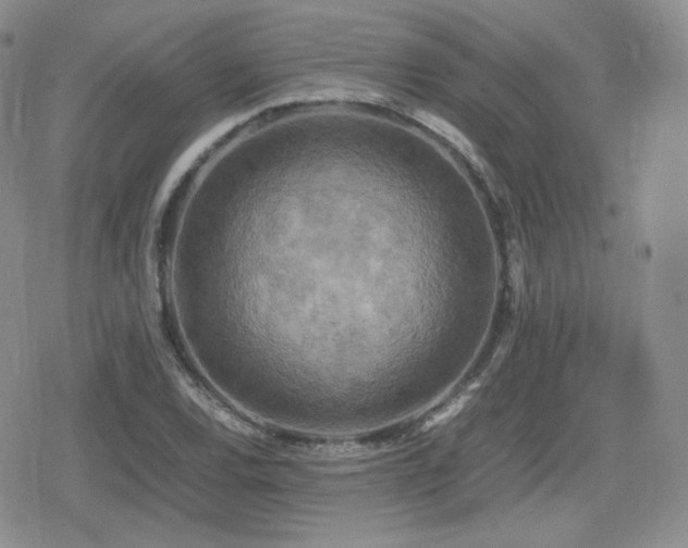 X0000080111120200612081220