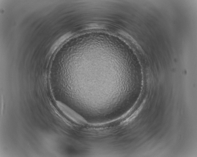 X0000080111121200612081220