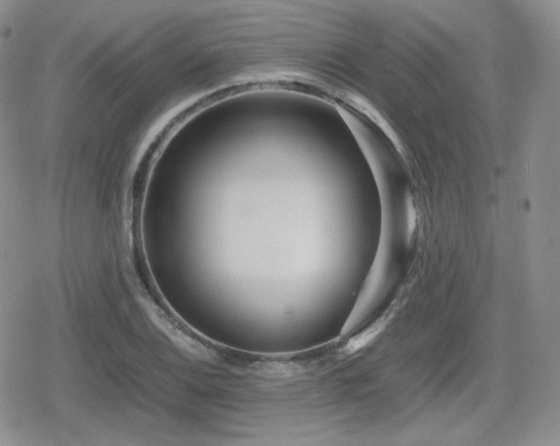 X0000080111124200612081220