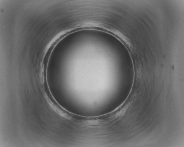 X0000080111126200612081220
