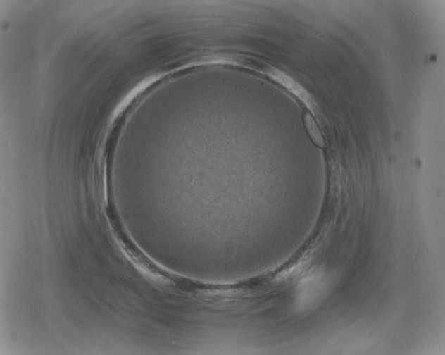X0000080111127200612081220