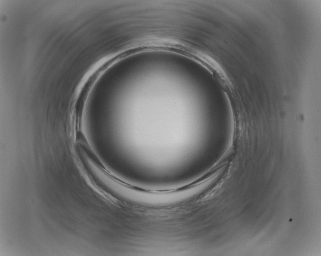 X0000080111128200612081220