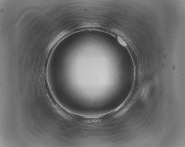 X0000080111129200612081220