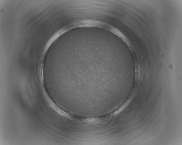 X0000080111130200612081220