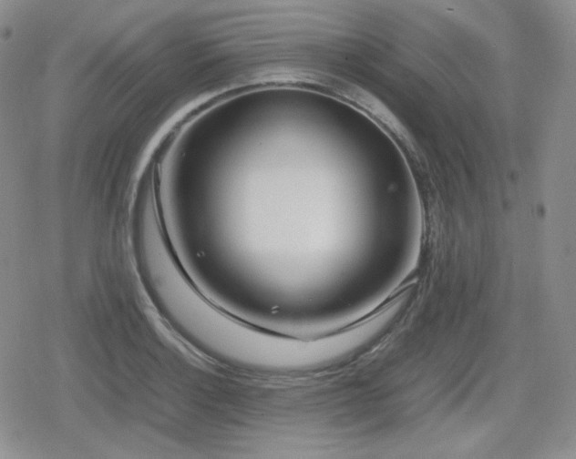X0000080111132200612081220
