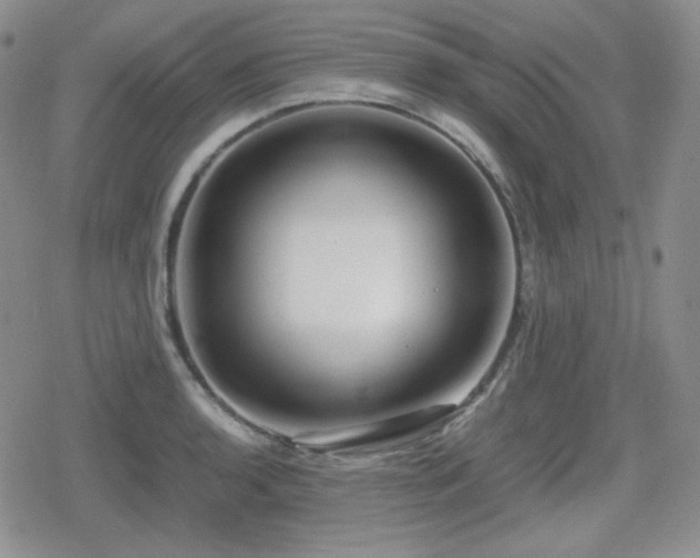 X0000080111136200612081220