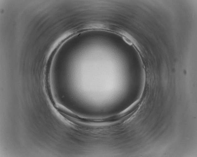X0000080111139200612081220